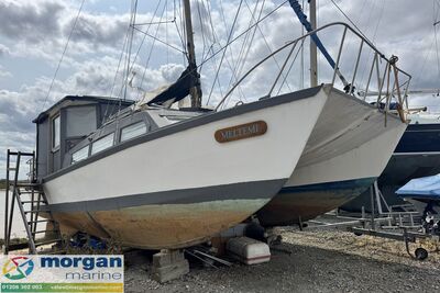 Bill O'Brien Amazon MK1 Catamaran