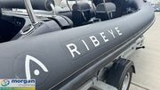  Ribeye  A600