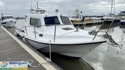  Procharter  28