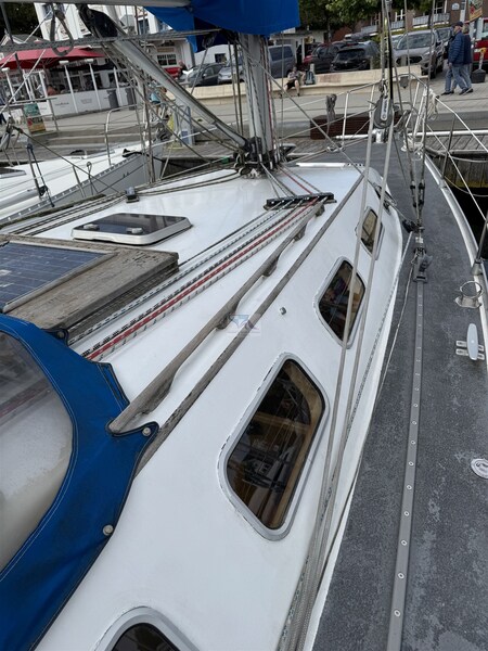 Baron 38 DER LETZTE BARON 34 Baron Yachtbau Baron 38