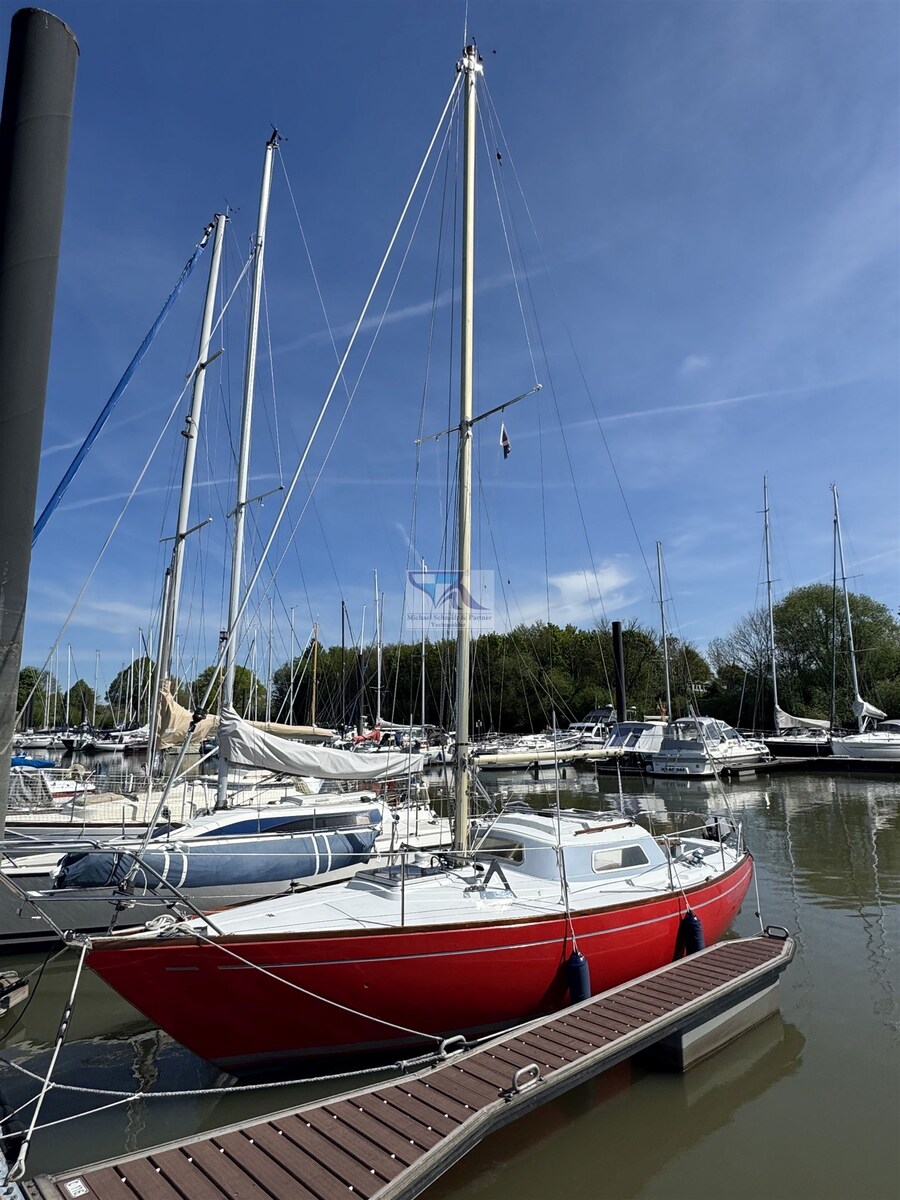 Mallard Ecume de Mer for sale