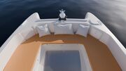  MILLIKAN BOATS M.10