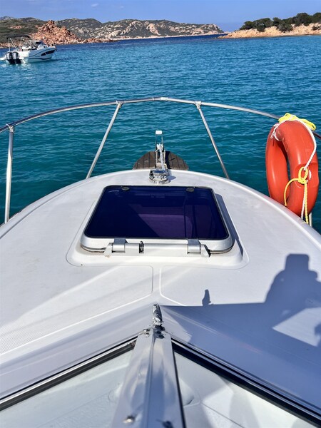 Boston Whaler 22 REVENGE Boston Whaler 22 REVENGE