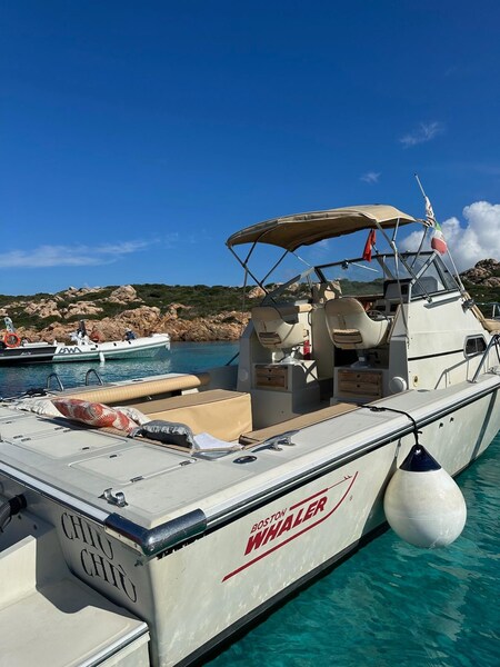 Boston Whaler 25 Revenge wa Boston Whaler 25 REVENGE