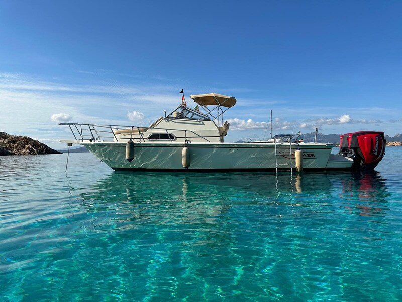 Boston Whaler 25 Revenge wa.jpg Boston Whaler 25 REVENGE