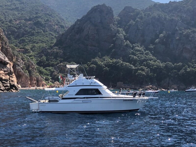 Profile Bertram Yacht 37' Convertible