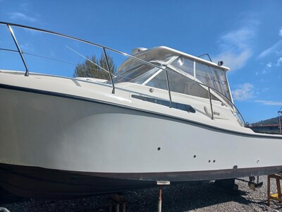 Tuccoli 280 Moby Dick 5.jpg 