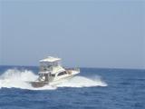 DSC05244_2 Davis Yacht DAVIS 47 SPORTFISHERMAN