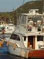 DSC05290 Davis Yacht DAVIS 47 SPORTFISHERMAN