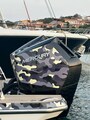 SAXDOR 400 GTO Engines Saxdor 400 GTO