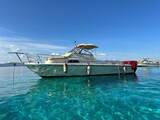 Boston Whaler 25 Revenge wa Boston Whaler 25 REVENGE