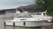 Tuccoli 280 Moby Dick .jpg Tuccoli Ivano T 280 Moby Dick Open