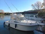 Tuccoli 280 Moby Dick .jpg Tuccoli Ivano T 280 Moby Dick Open