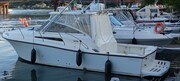 Tuccoli 280 Moby Dick .jpg Tuccoli Ivano T 280 Moby Dick Open