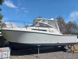 Tuccoli 280 Moby Dick .jpg Tuccoli Ivano T 280 Moby Dick Open