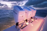 Engines details Tiara Yachts 46LS