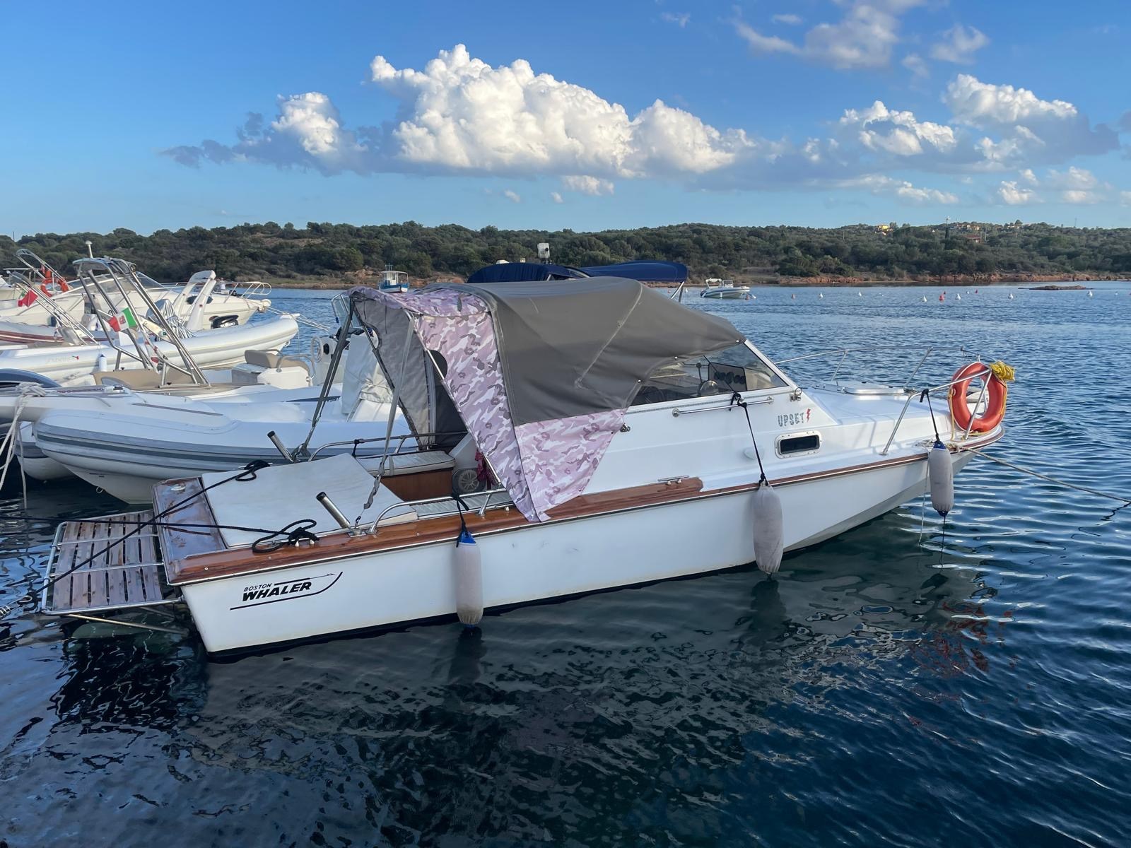 Boston Whaler 22 REVENGE for sale