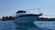 IMG-20180805-WA0007 Crownline 270 CR