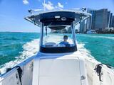  Edgewater 262CC