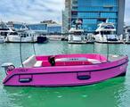  Vision Volt 180