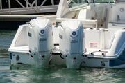  Edgewater 262CX