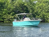  White Shark 210CC